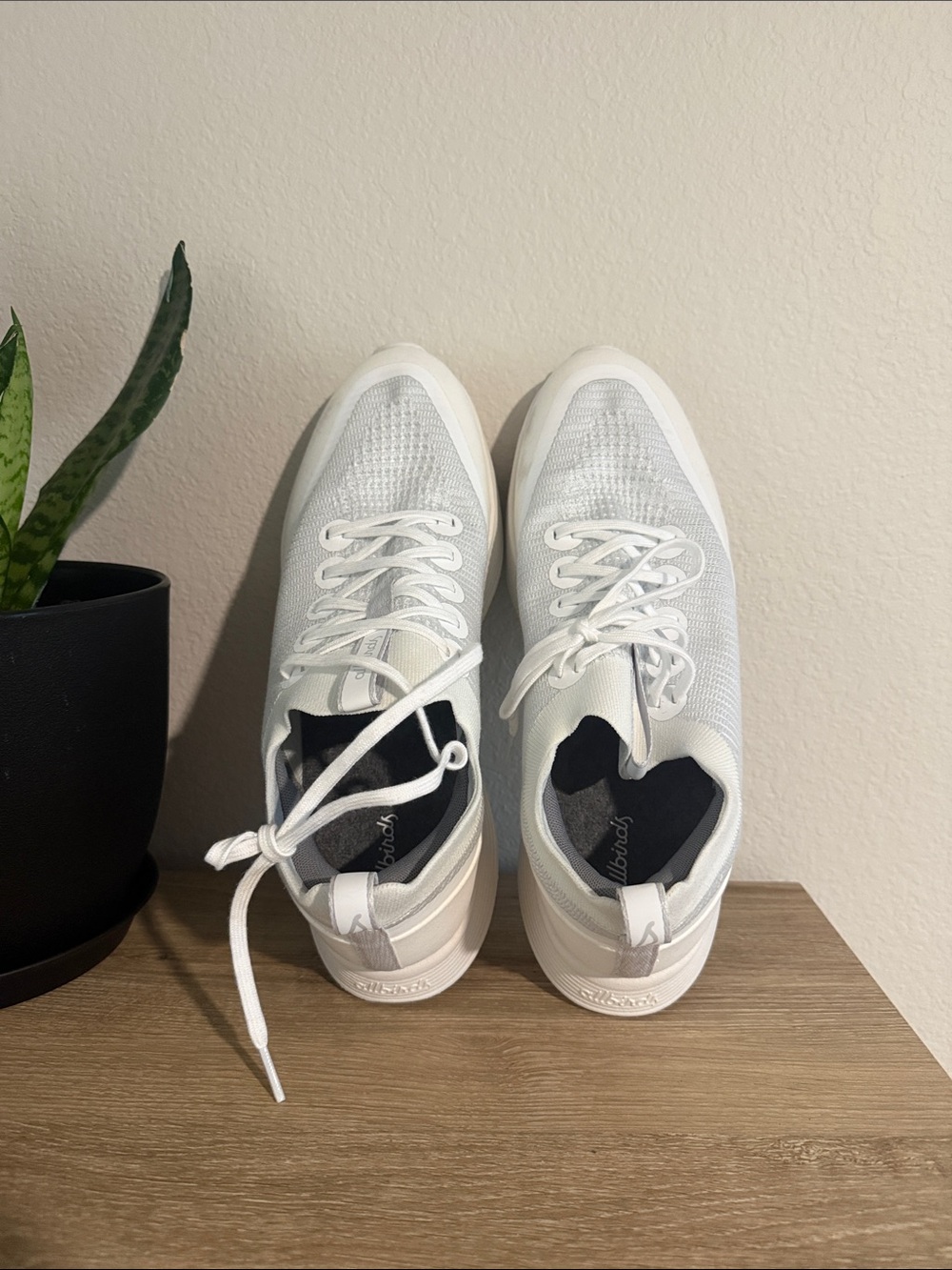 allbirds White Knit Running Sneakers